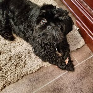 Meet your Posher, Keshia